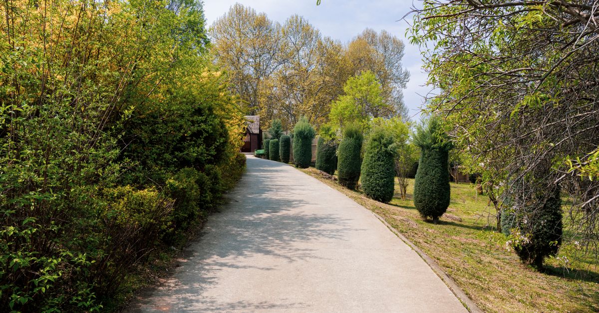 Estimating the Average Cost of Maintaining Concrete Driveways in Wollongong